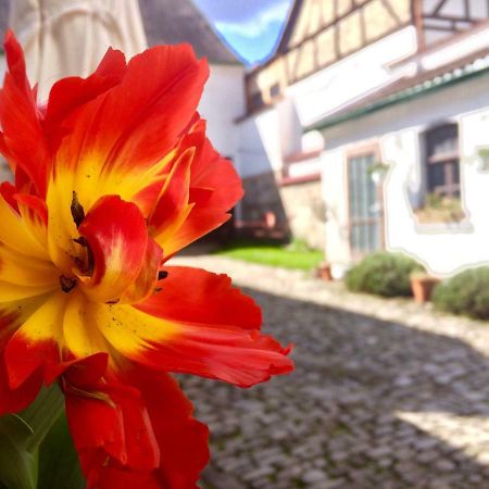 3 Seiten Ferienwohnung Йена Екстериор снимка